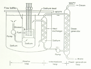 Design: Schwimmbadreaktor. Schwimmbadreaktoren haben beinah all ihre Ausstattung außerhalb des Reaktorkessels.