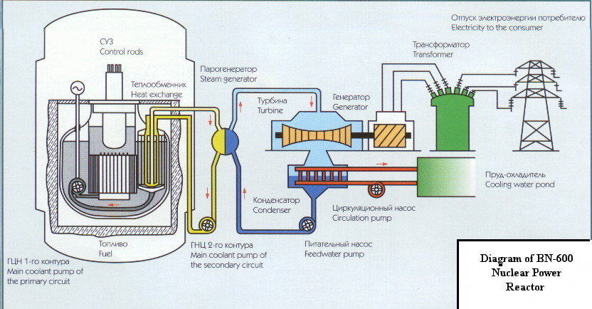 BN-600 Reaktor